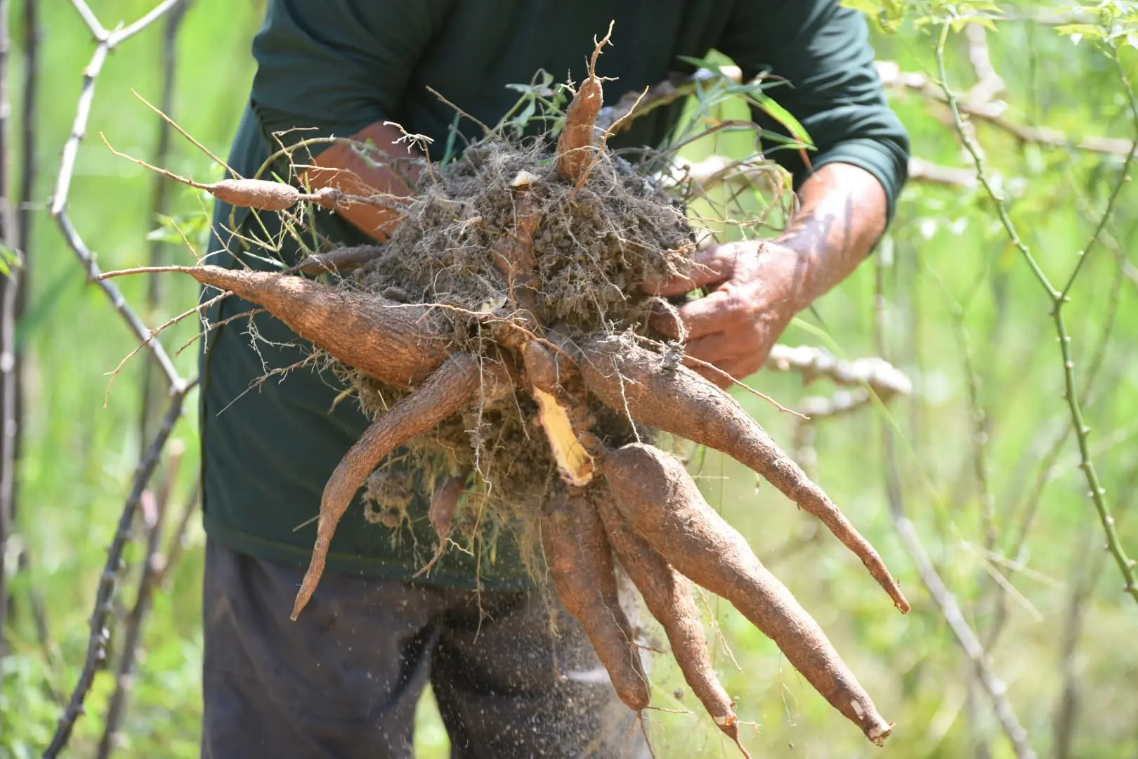 Atividade parte programa