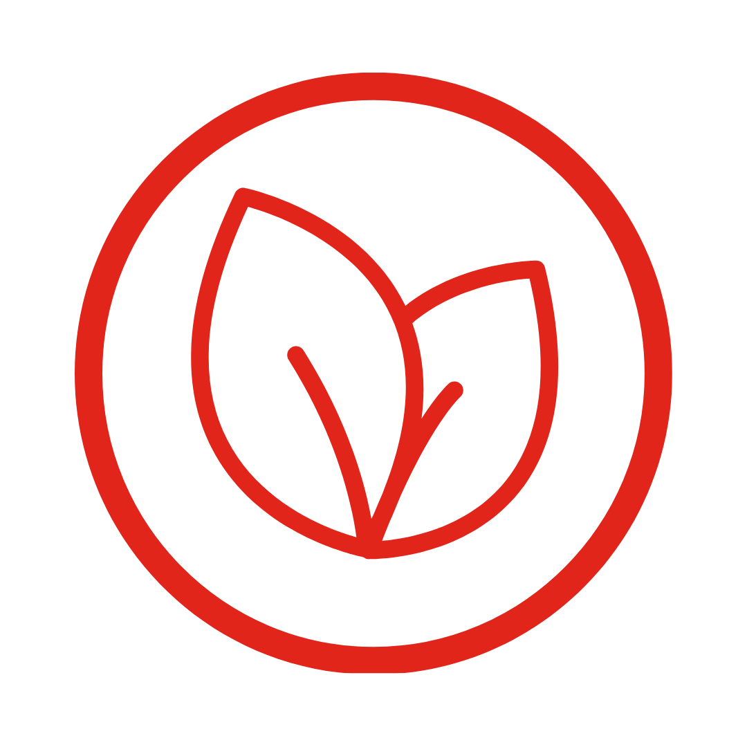 Agricultura Familiar